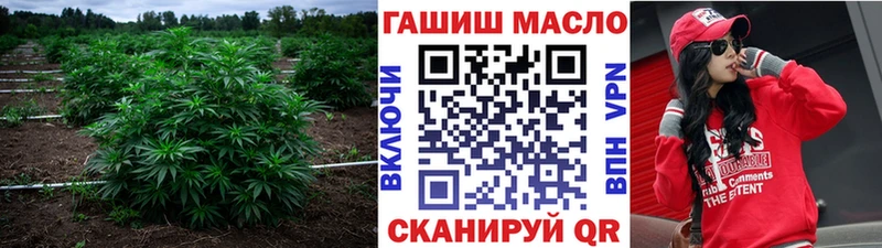 ТГК гашишное масло  Купить где  Грязовец 