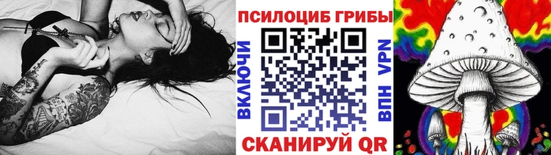 Псилоцибиновые грибы мицелий Грязовец