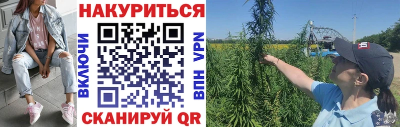 Купить  Грязовец  Бошки Шишки семена 